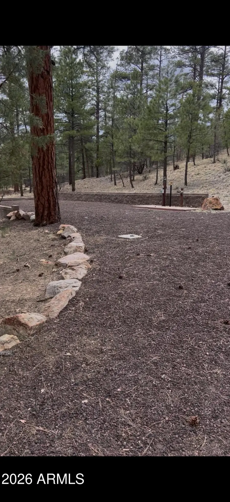 00 S 24th Drive, Show Low, AZ 85901 - #3