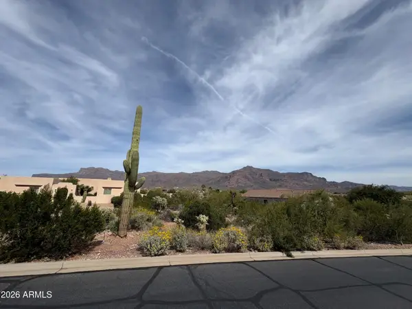 4553 S Strike It Rich Drive #40, Gold Canyon, AZ 85118