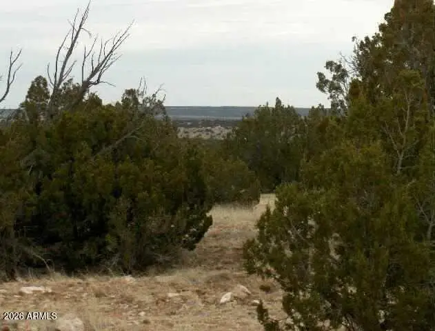 Lot 302 Chevelon Canyon Ranch -- #302, Heber, AZ 85928 - #1