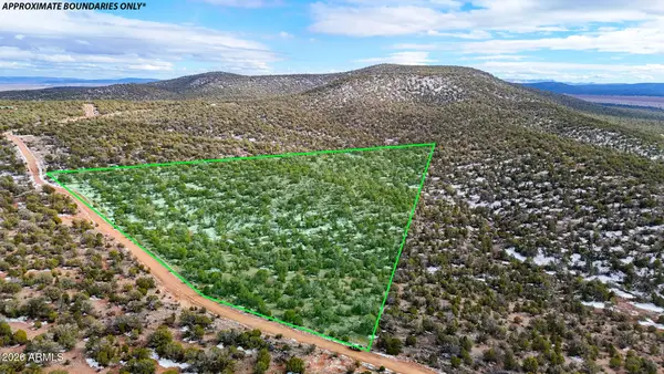 0 W Elkhorn Pass 36 Acres --, Seligman, AZ 86337