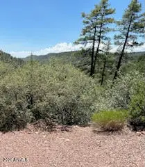 16xx W Munsee Drive #34, Payson, AZ 85541 - #2