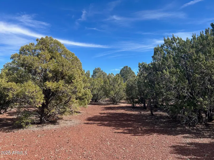 Lot 86 Ricks Road #86, Vernon, AZ 85940 - #2