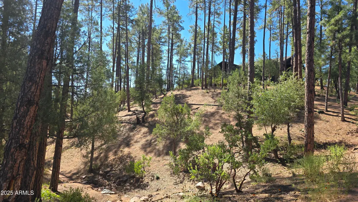 401 N Grapevine Drive #525, Payson, AZ 85541 - #1