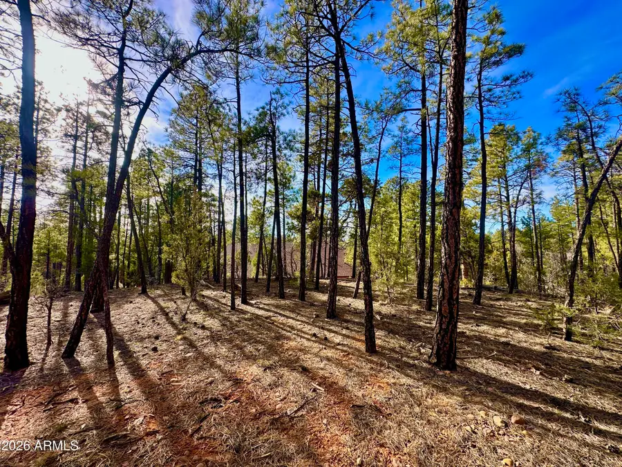 321 W Aspen Trail #240, Show Low, AZ 85901 - #3