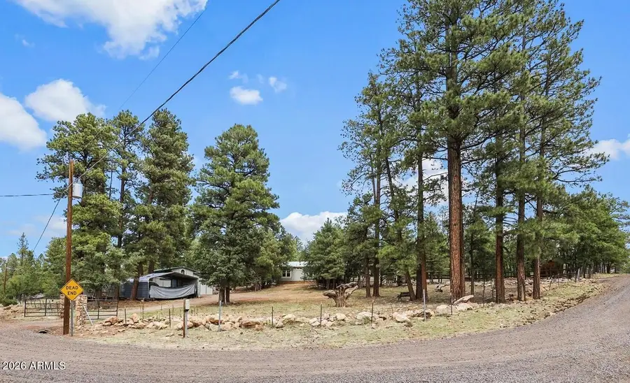 1875 Short Street, Happy Jack, AZ 86024 - #2