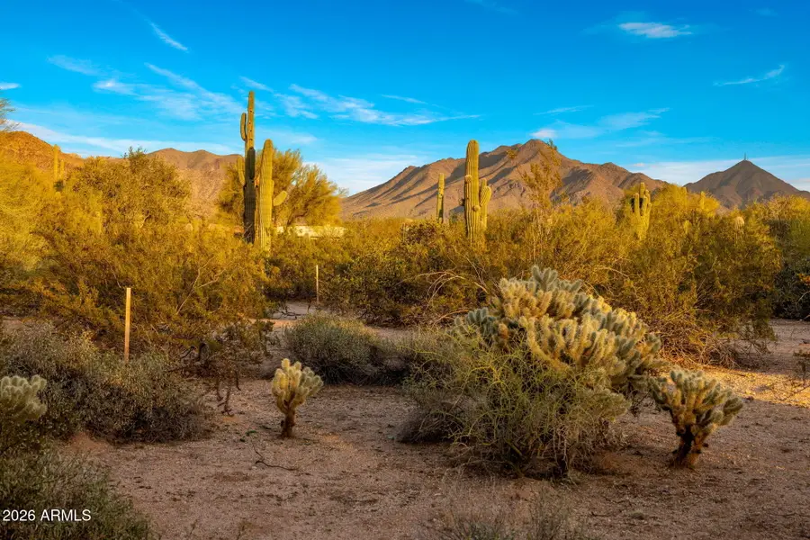 9290 E Thompson Peak Parkway #401, Scottsdale, AZ 85255 - #3