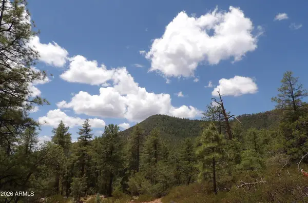 018E &014U Pine Hollow Trail #018E & 014U, Pine, AZ 85544