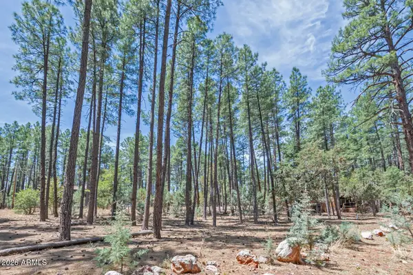 lot 138 Marcy Way #138, Pine, AZ 85544