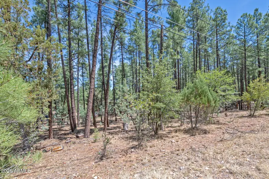 lot 138 Marcy Way #138, Pine, AZ 85544 - #2