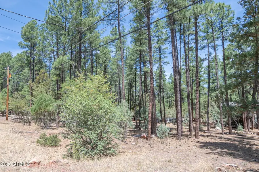 lot 138 Marcy Way #138, Pine, AZ 85544 - #3