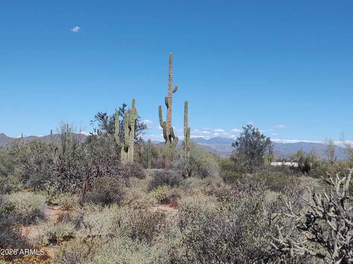 31XXX N 166th Place, Scottsdale, AZ 85262 - #1