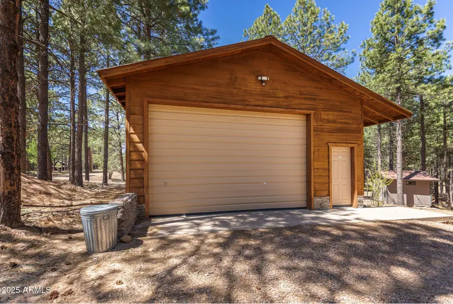 341 Pinto Road, Forest Lakes, AZ 85931 - #3