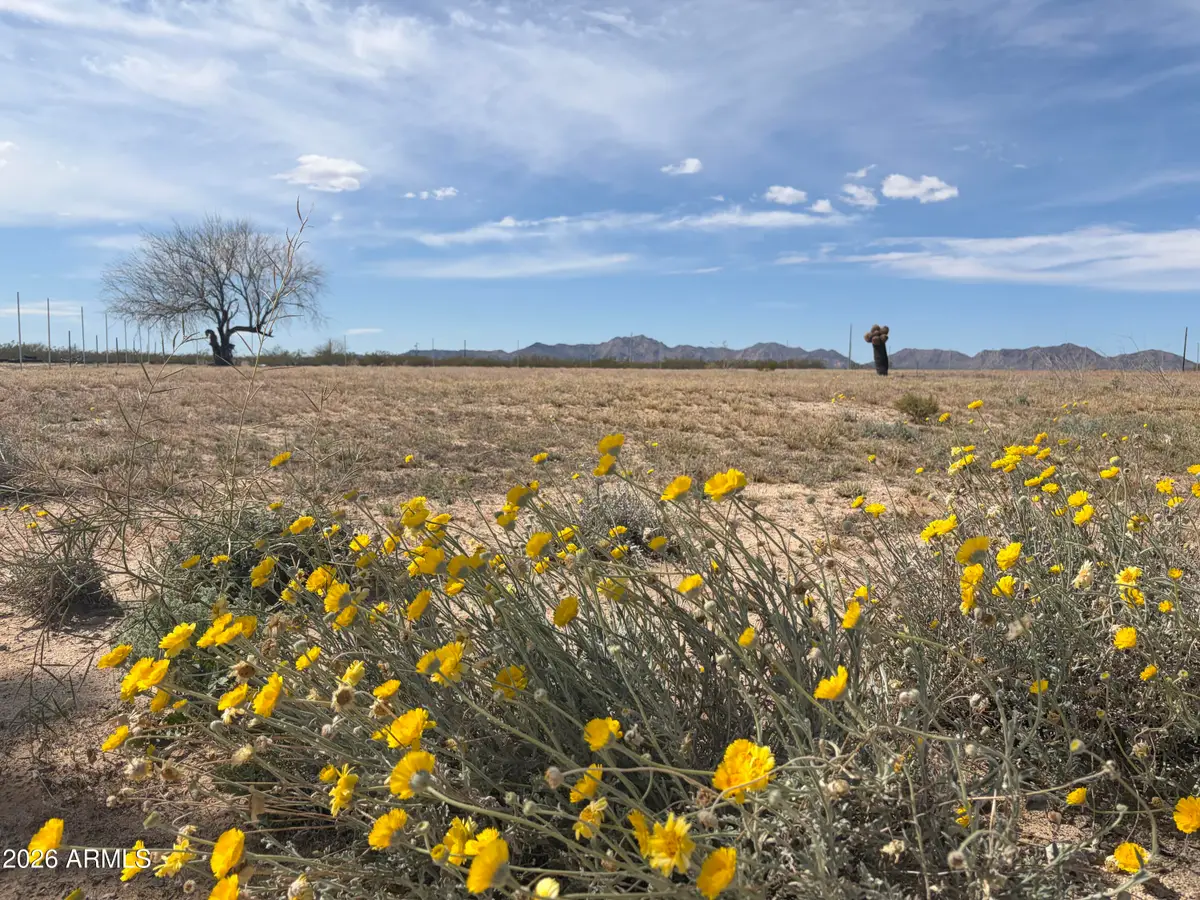 37138 Six Shooter Road #3, Salome, AZ 85348 - #1