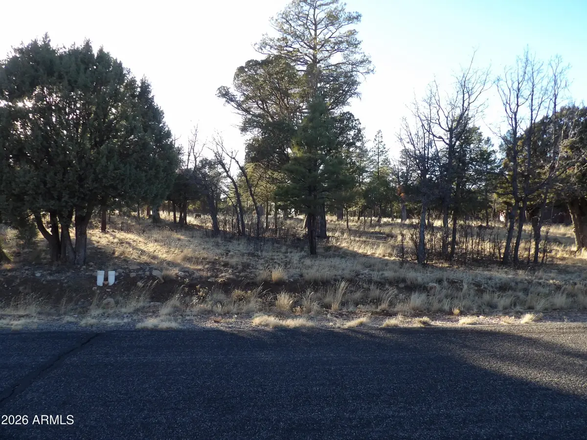 2570 Kettle Way #200, Happy Jack, AZ 86024 - #1