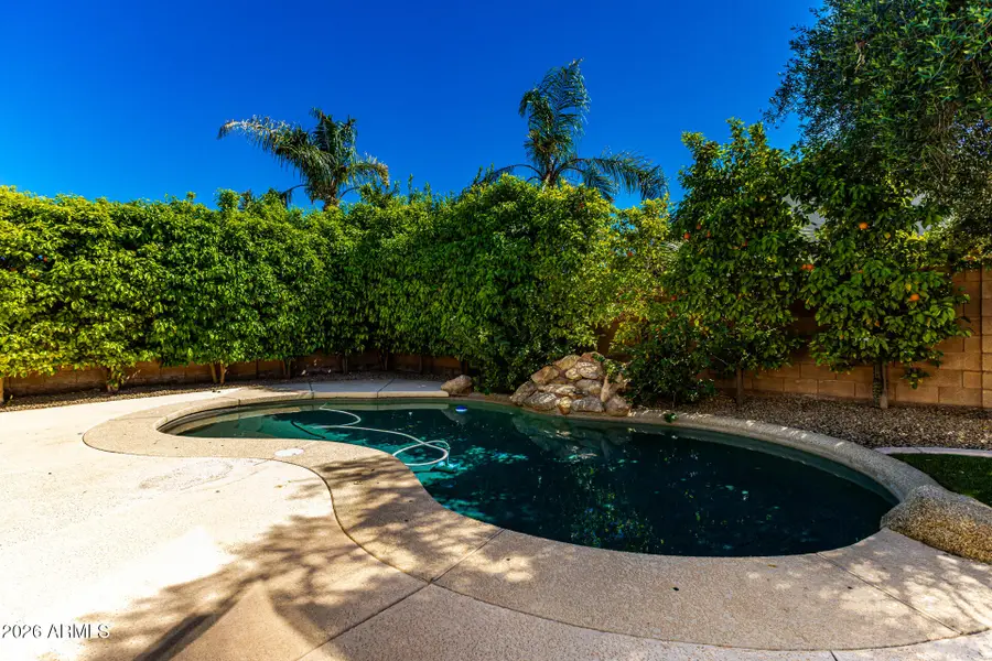 417 W Desert Broom Drive, Chandler, AZ 85248 - #2