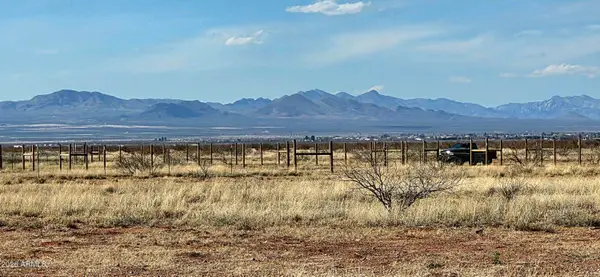 Lot 1 N Night Sky Road #1, McNeal, AZ 85617