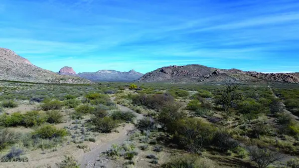 20 Acres E Pebble Road, Douglas, AZ 85607