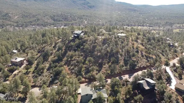 165 N Portal Drive #165, Pine, AZ 85544