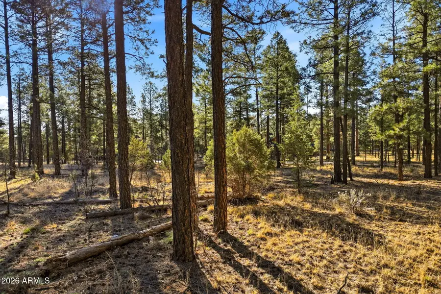 2090 Knotty Pine Circle #019F, Overgaard, AZ 85933 - #2