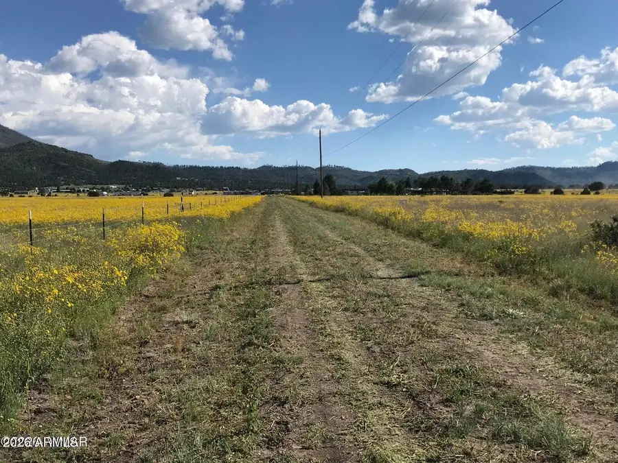 26 N Cr 2009 -- #004D, Nutrioso, AZ 85932 - #3