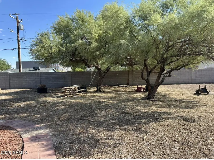 925 E Henry Street, Tempe, AZ 85288 - #3