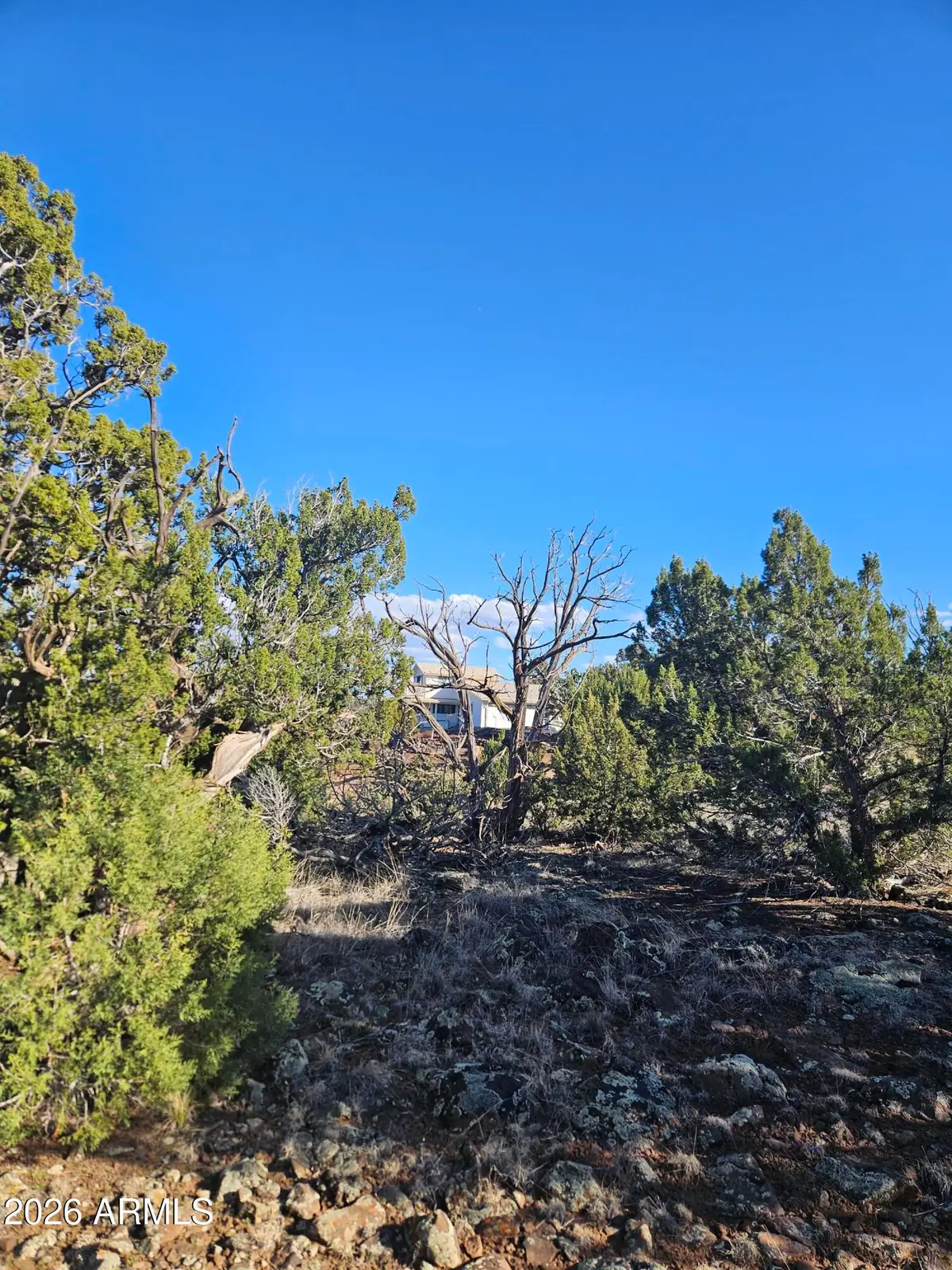 1856 Rainbow Circle, Show Low, AZ 85901 - #1