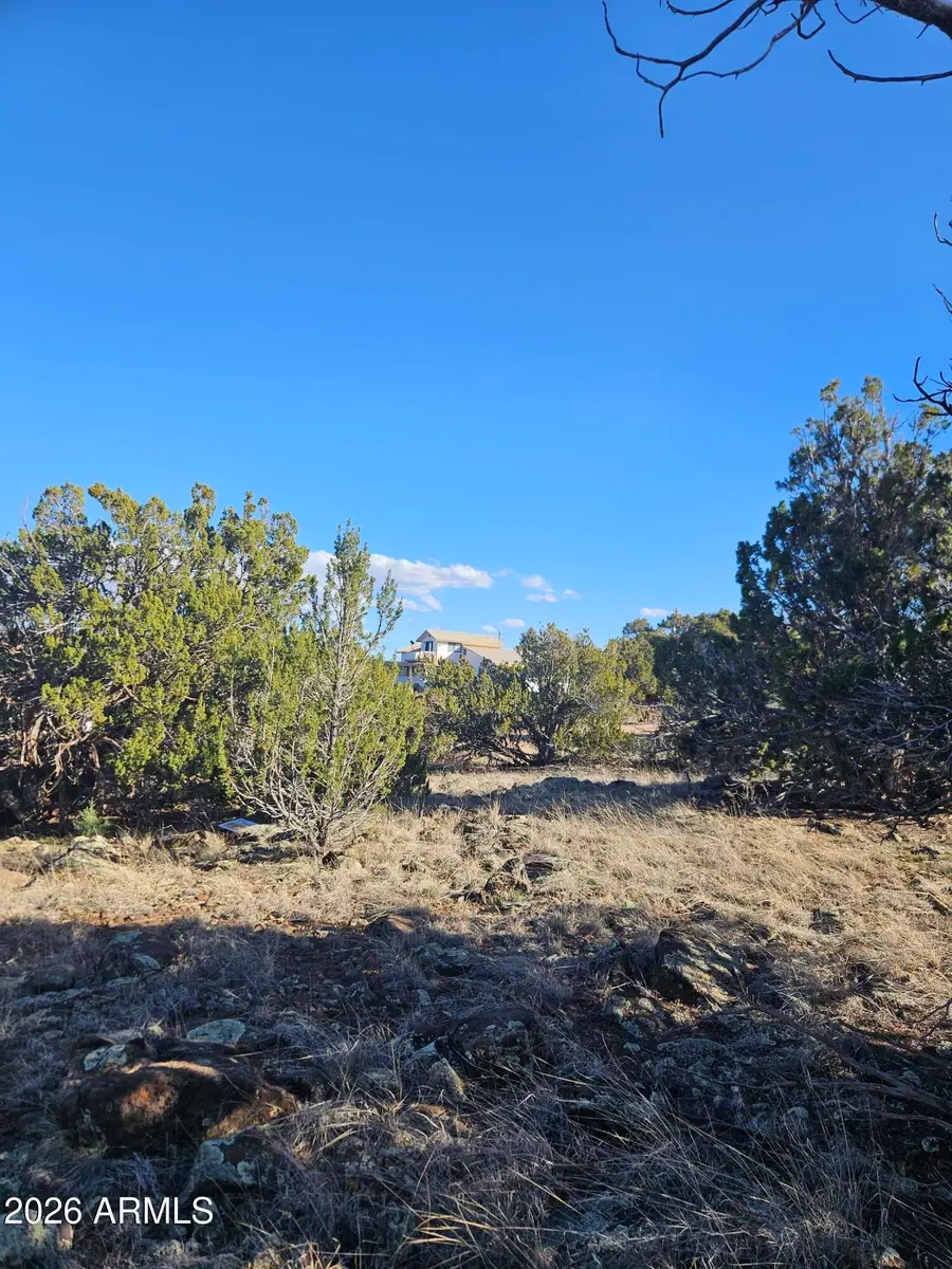 1856 Rainbow Circle, Show Low, AZ 85901 - #3