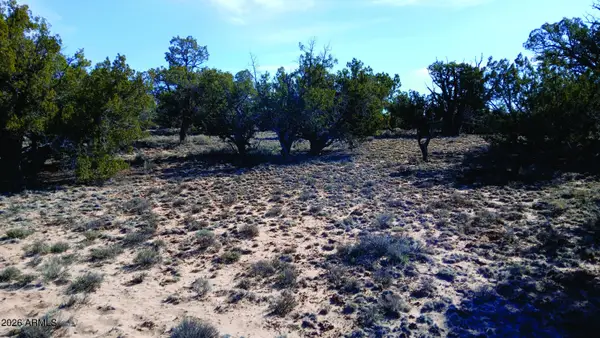 8.96 Acres N7407 -- #382,38, Sanders, AZ 86512