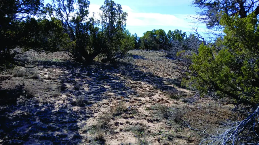 8.96 Acres N7407 -- #382,38, Sanders, AZ 86512 - #2