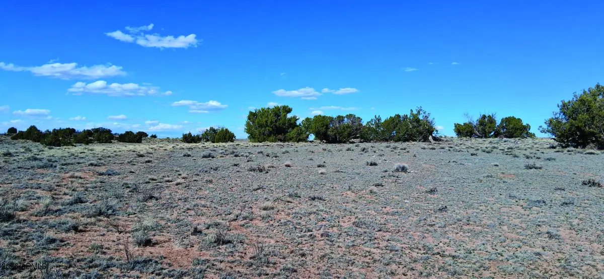 10.15 AC Unnamed Road, Sanders, AZ 86512 - #1