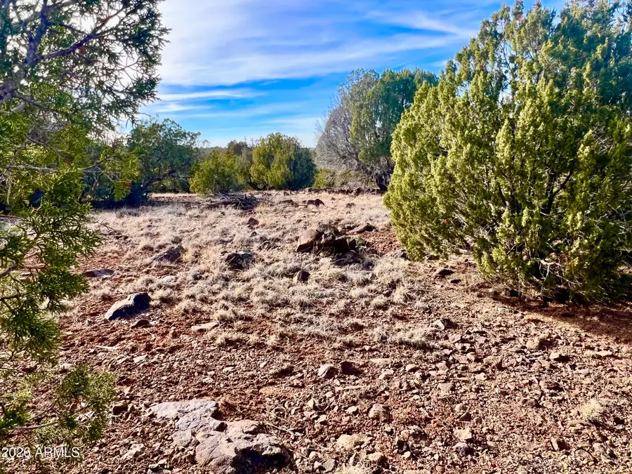 1877 Rainbow Circle, Show Low, AZ 85901 - #2