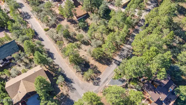 6124 W Skyview Circle #195, Pine, AZ 85544