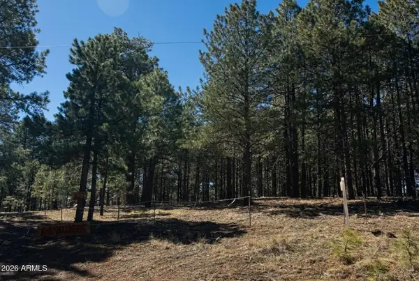 1080 Pond Circle #890, Forest Lakes, AZ 85931