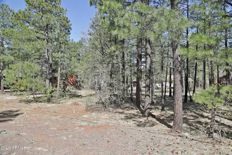 7466 Buck Springs Road #175, Pinetop, AZ 85935 - #2