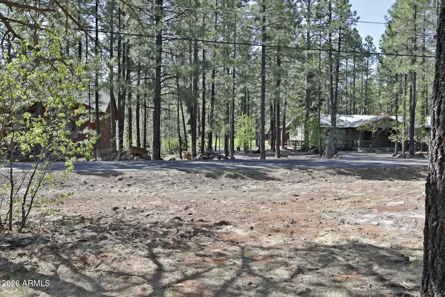 7466 Buck Springs Road #175, Pinetop, AZ 85935 - #3