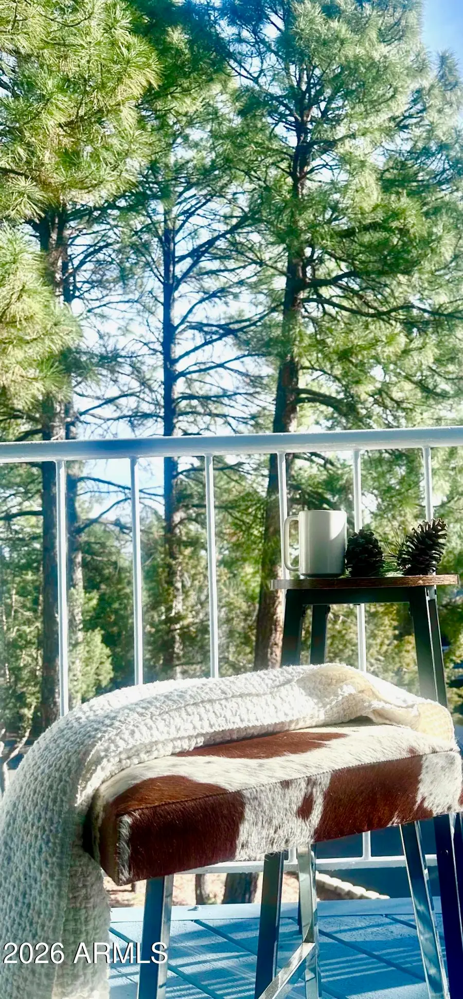 2700 S White Mountain Road #1025, Show Low, AZ 85901 - #3