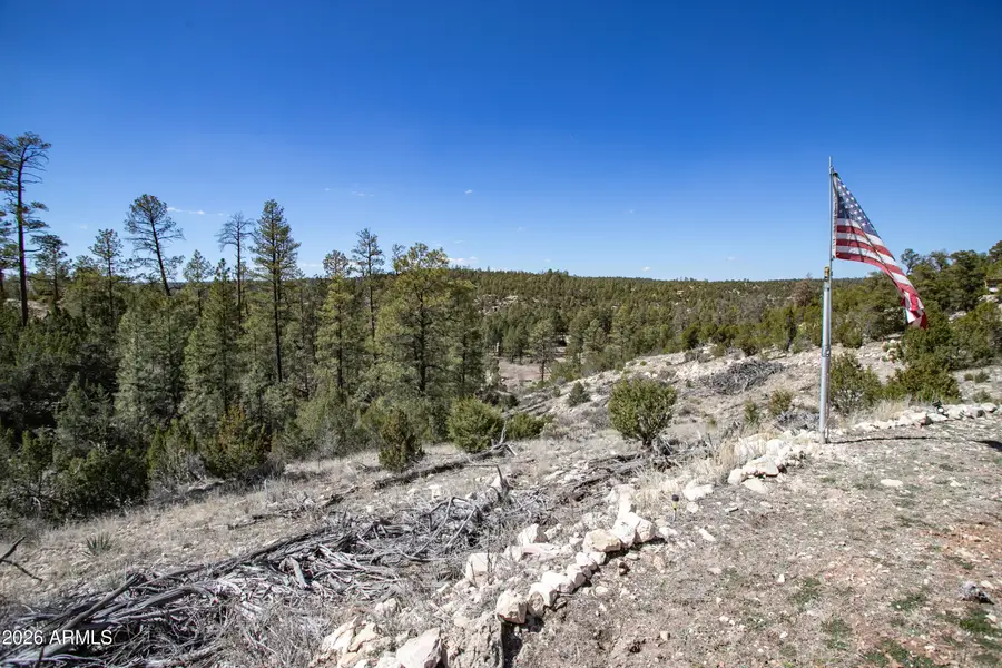 1740 Eskimo Lane #60, Heber, AZ 85928 - #2