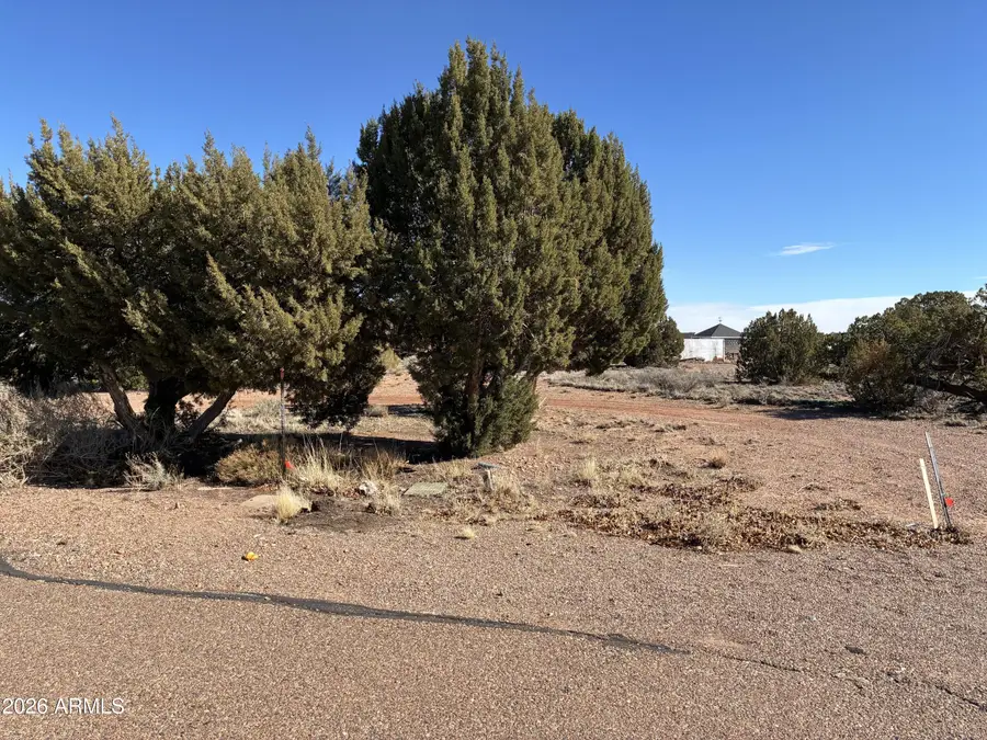 3XX S Manor Circle S #4, Snowflake, AZ 85937 - #2