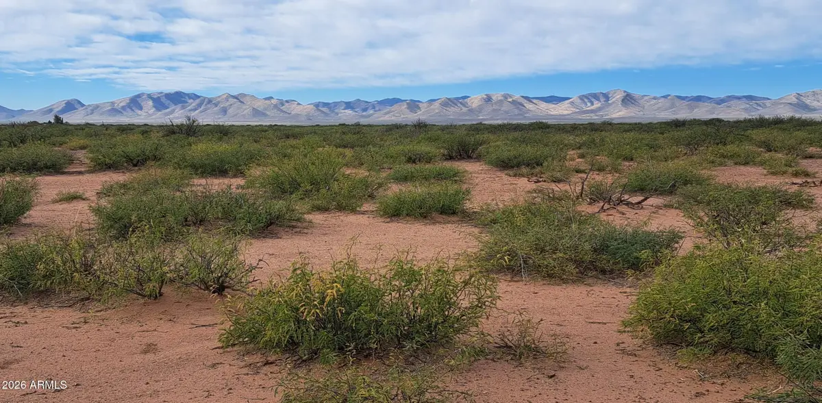 TBD Drifters Way #POR, McNeal, AZ 85617 - #1