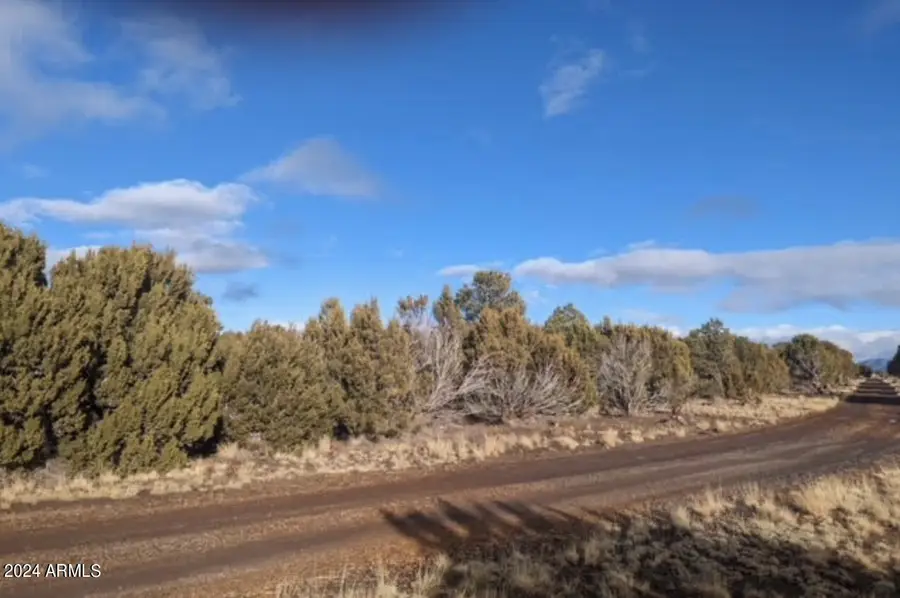 12 N3582 -- #(4.86 Acres), Vernon, AZ 85940 - #2