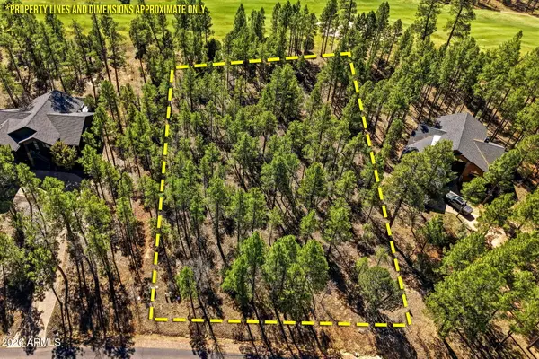 3581 W Senna Lane W #247, Show Low, AZ 85901