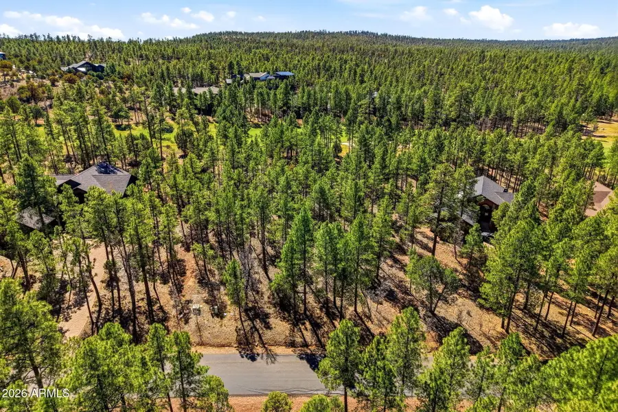 3581 W Senna Lane W #247, Show Low, AZ 85901 - #2