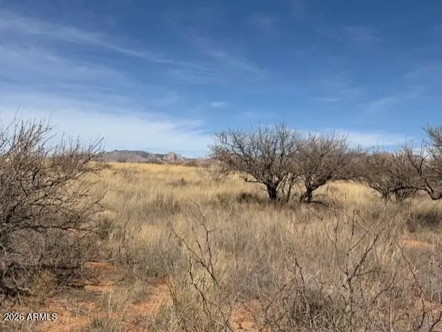 TBD S Cochise Trail #94, Saint David, AZ 85630 - #1