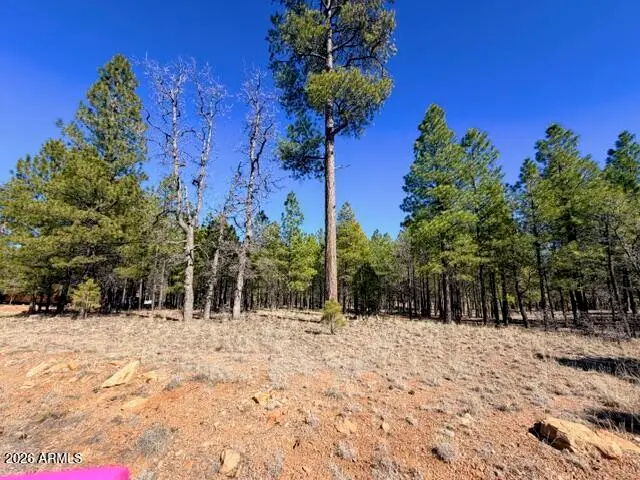 1865 Pine Canyon Drive #168, Happy Jack, AZ 86024 - #2