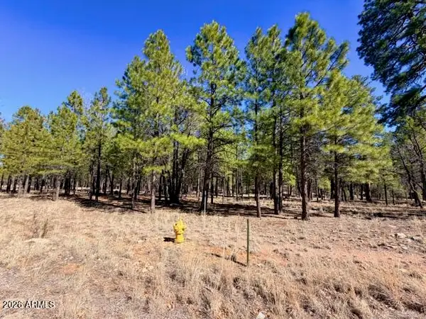 1921 Pine Canyon Drive #170, Happy Jack, AZ 86024