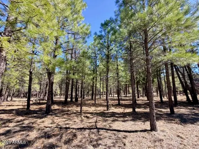 1921 Pine Canyon Drive #170, Happy Jack, AZ 86024 - #2