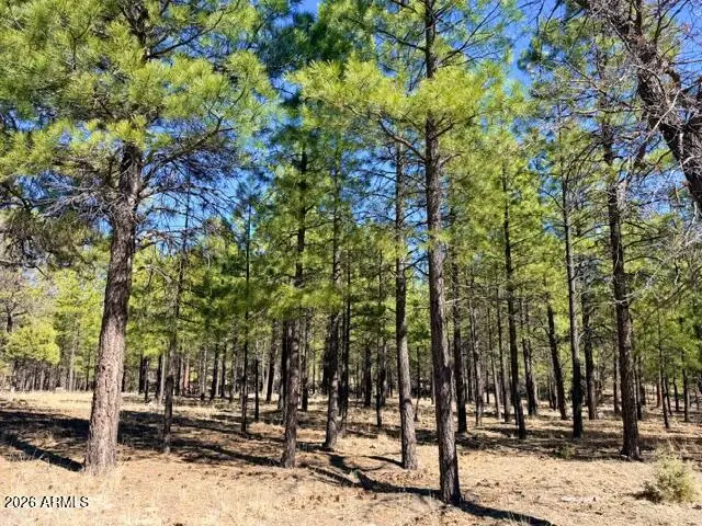 1947 Pine Canyon Drive #171, Happy Jack, AZ 86024 - #1