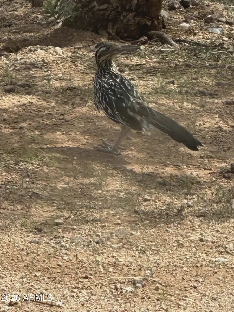 7530 W Bucking Horse Road, Sahuarita, AZ 85629 - #3