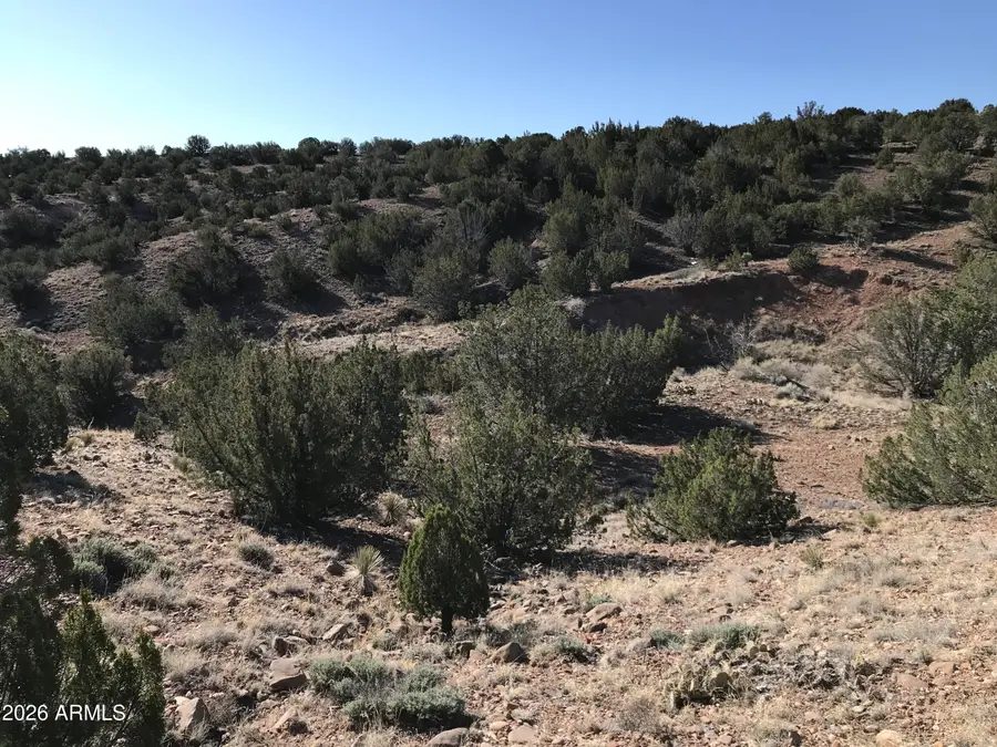 0 Lot N5338 --, Concho, AZ 85924 - #3