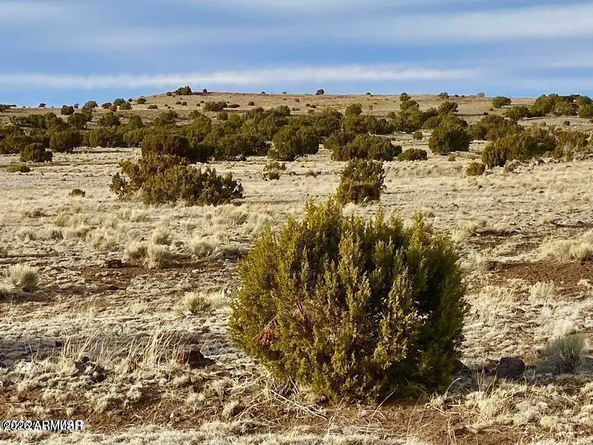 TBD Co Rd 5150 1.22 Acres --, Concho, AZ 85924 - #1